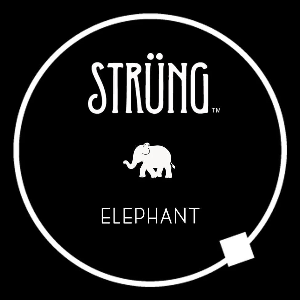 ELEPHANT - “LUCK BE A LADY” - Image 6