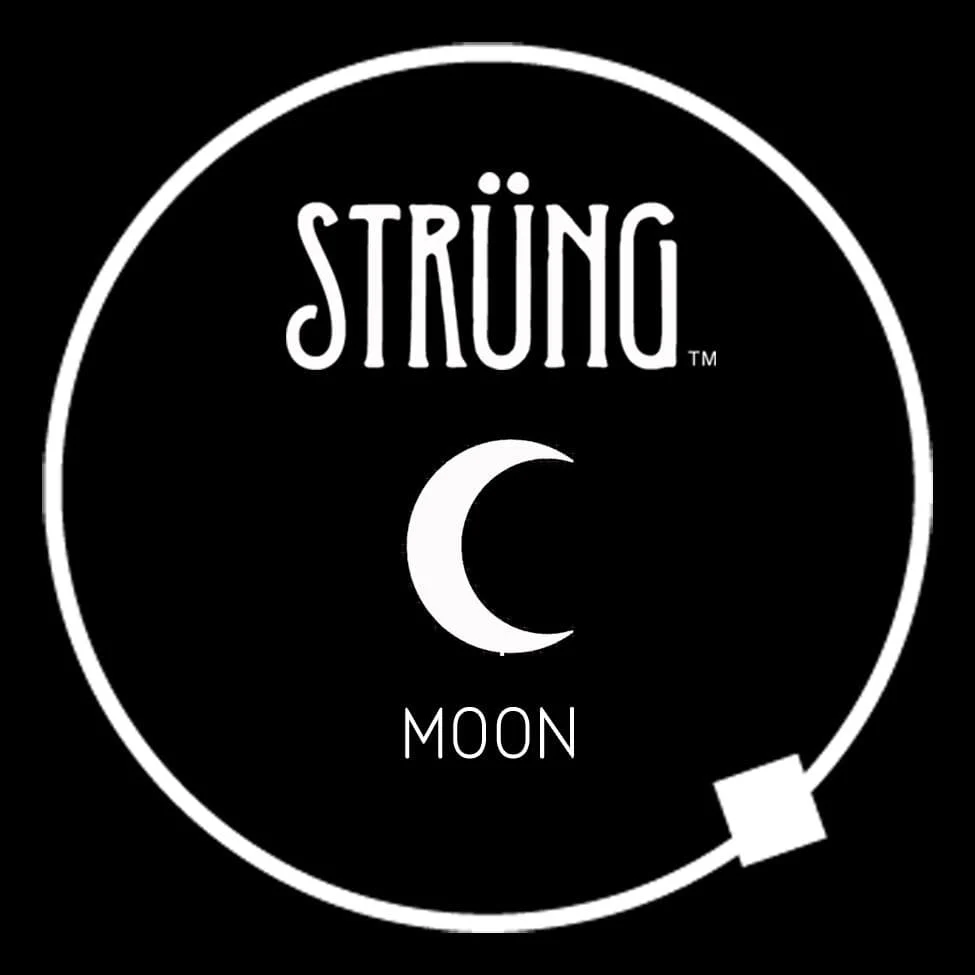 MOON - "ROCKET MAN" - Image 7