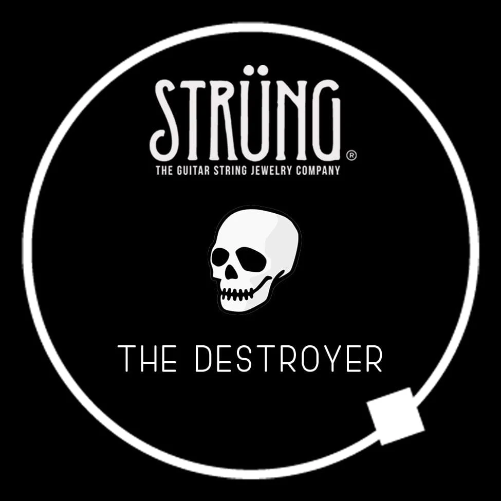 THE DESTROYER – “SYMPHONY OF DESTRUCTION” - Image 7