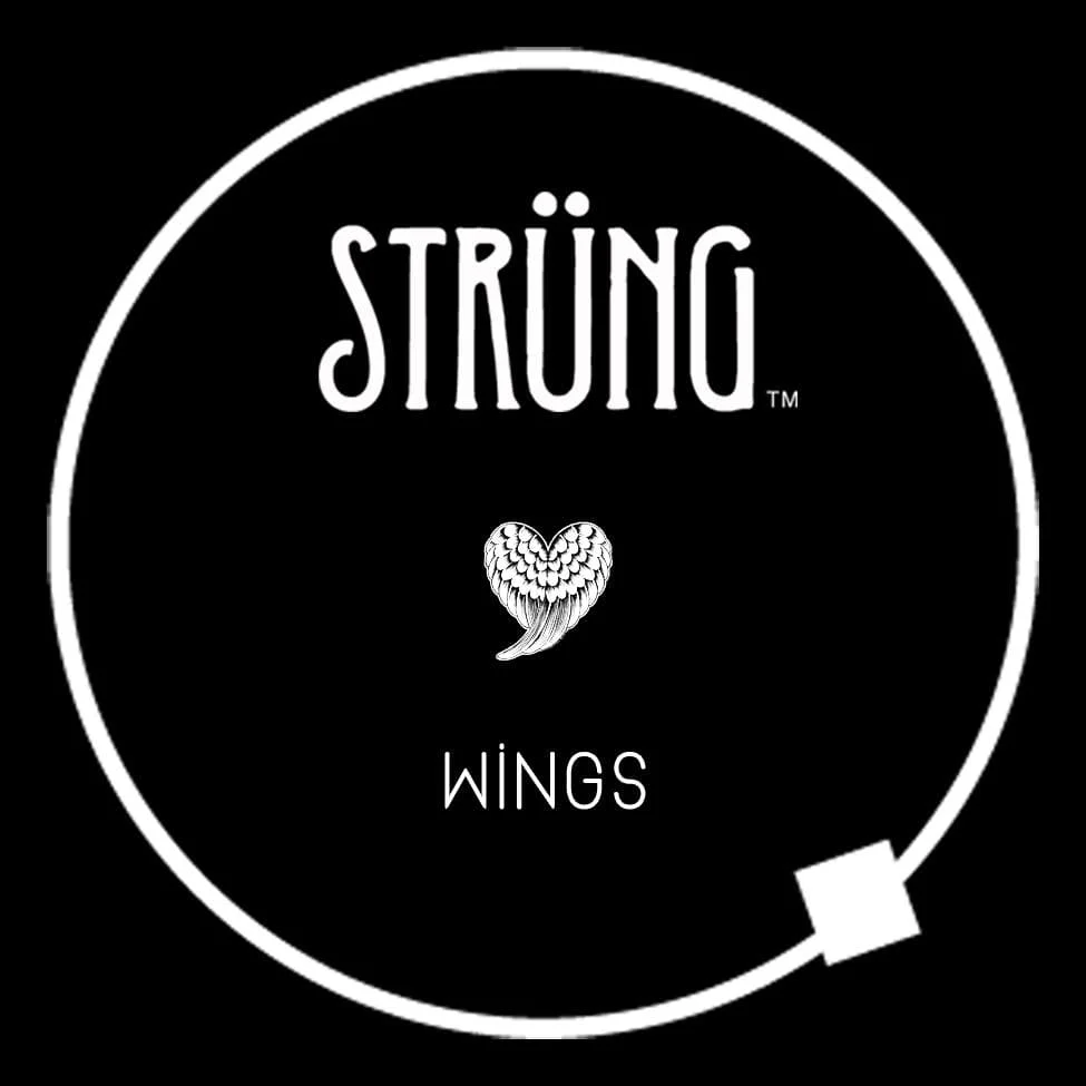WINGS – “THE WIND BENEATH MY WINGS" - Image 7